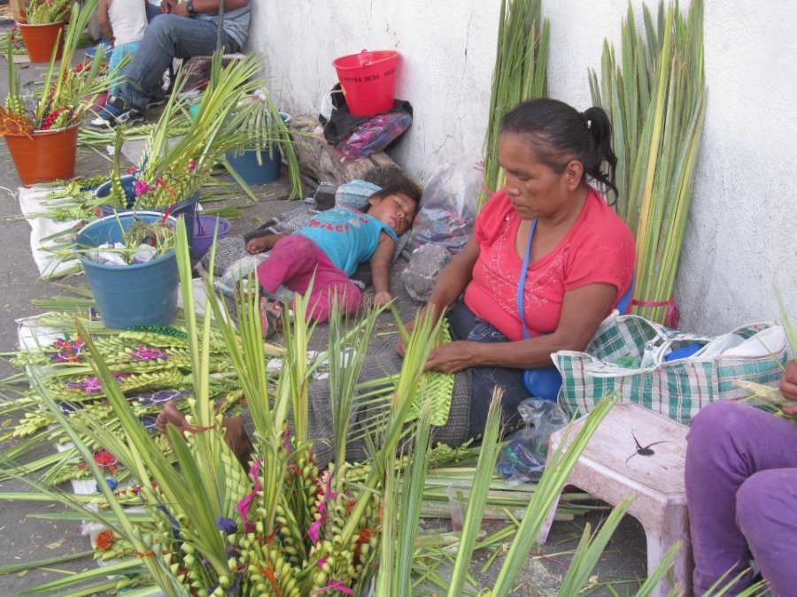 Caen ventas de palma en Domingo de Ramos en Jojutla