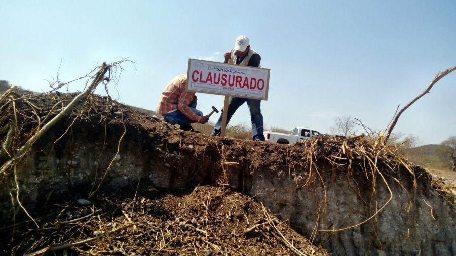 Buscan reforestar zonas afectadas del ejido de Ahuehuetzingo