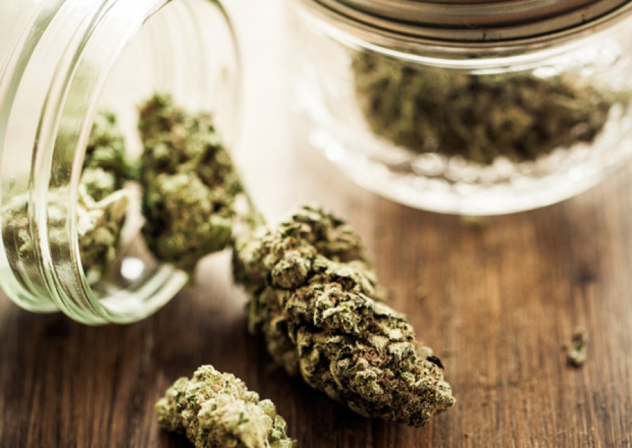 Aprueba Corte uso recreativo de la marihuana