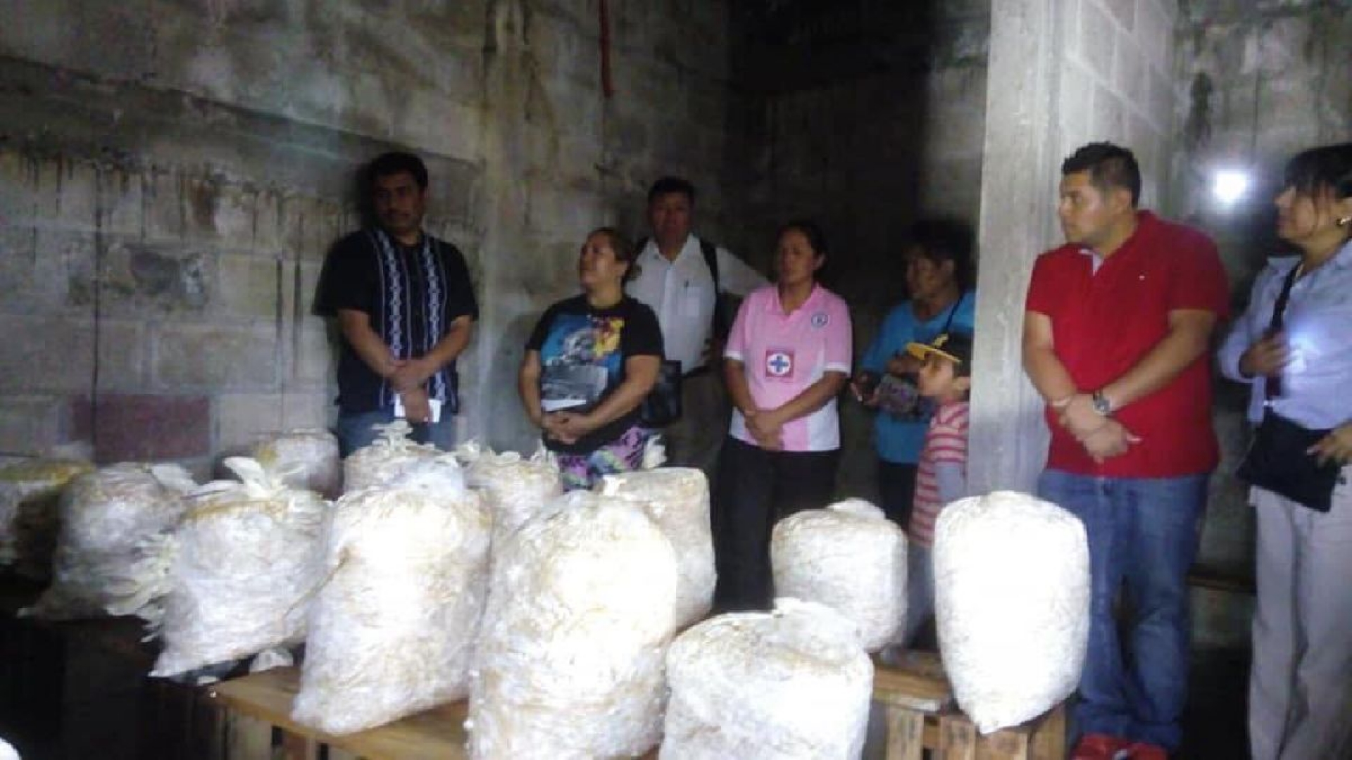Concluye curso de producción de hongos en la comunidad Yecapixteca