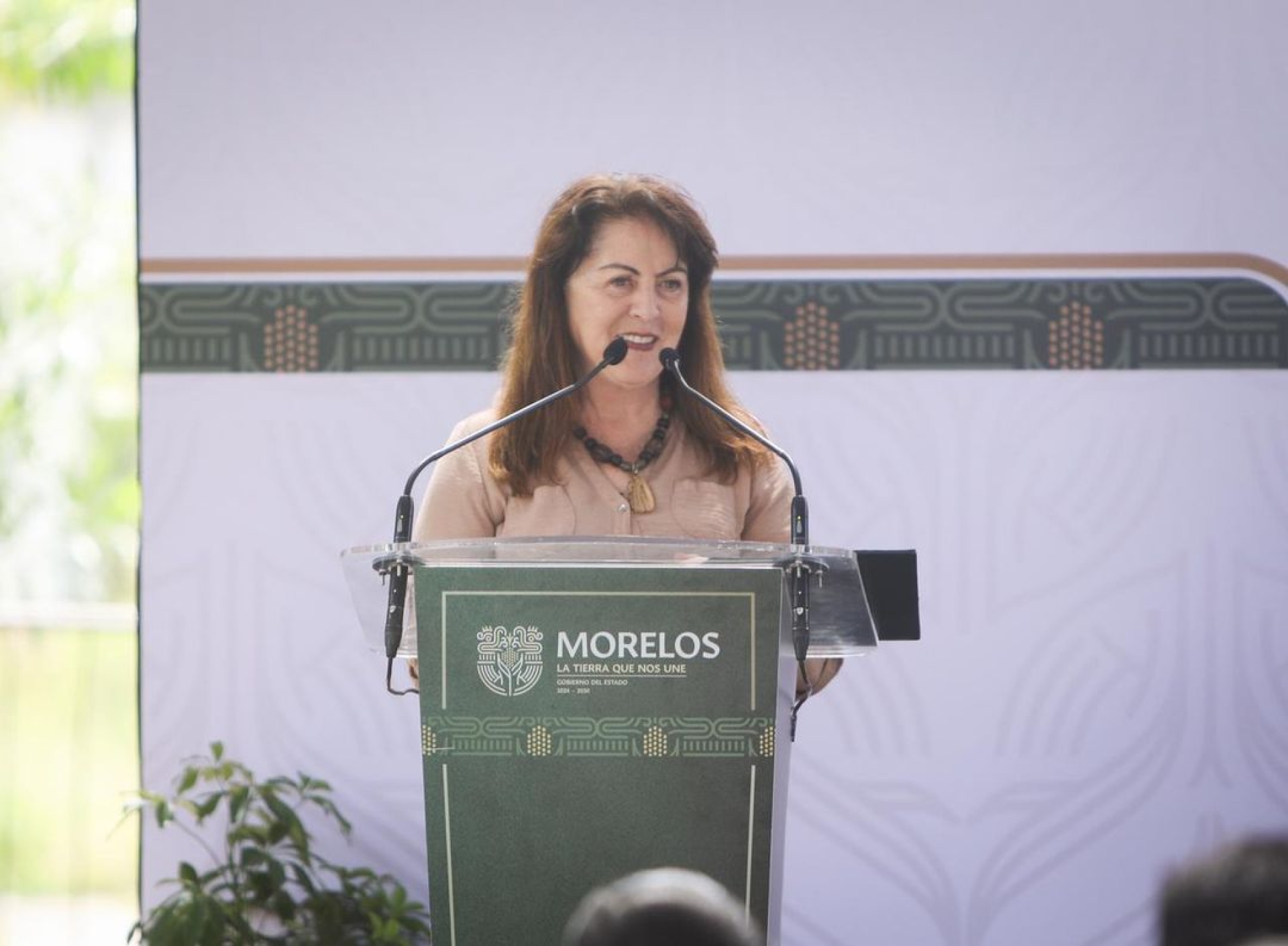 Promueve gobierno de Margarita González Saravia derecho al agua con sistemas de cosecha de lluvia en viviendas