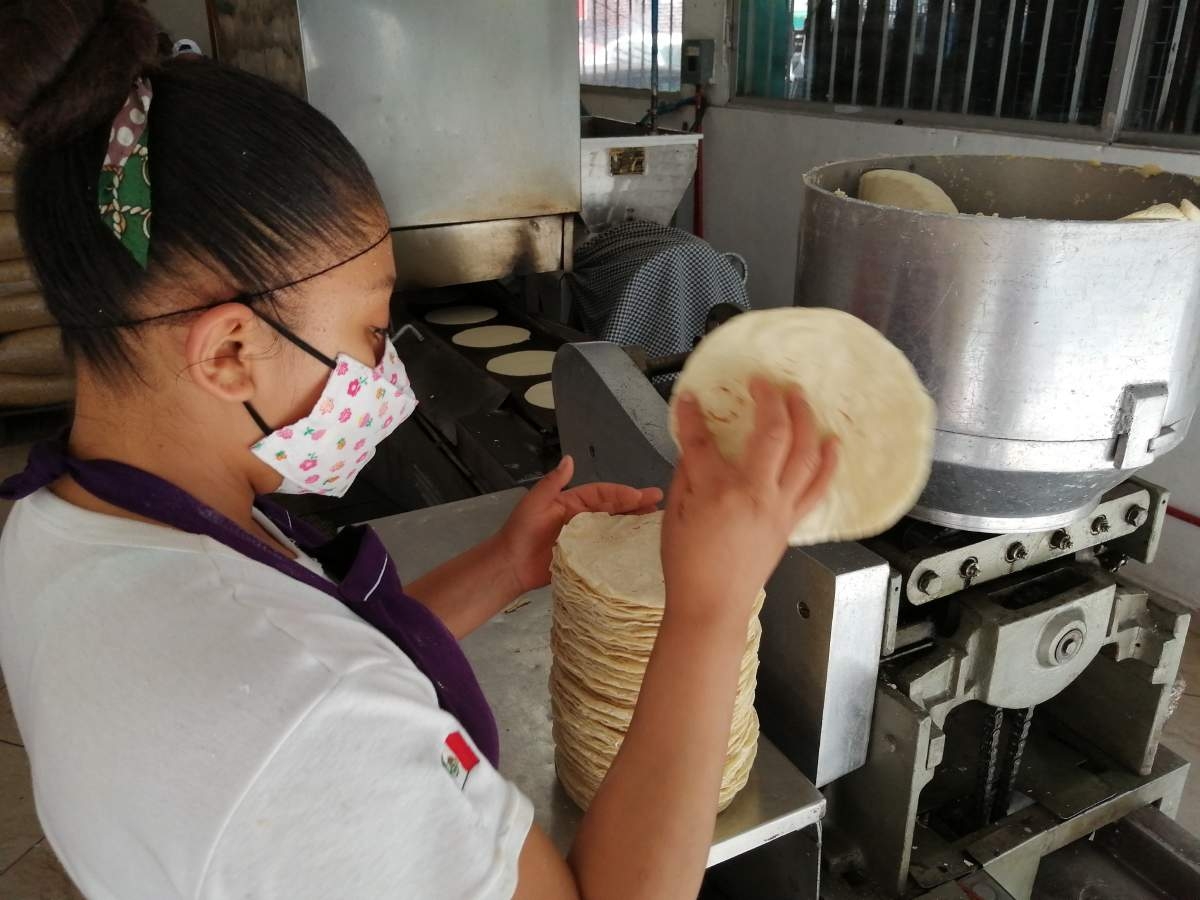 En febrero el kilo de tortilla podría costar 25 pesos