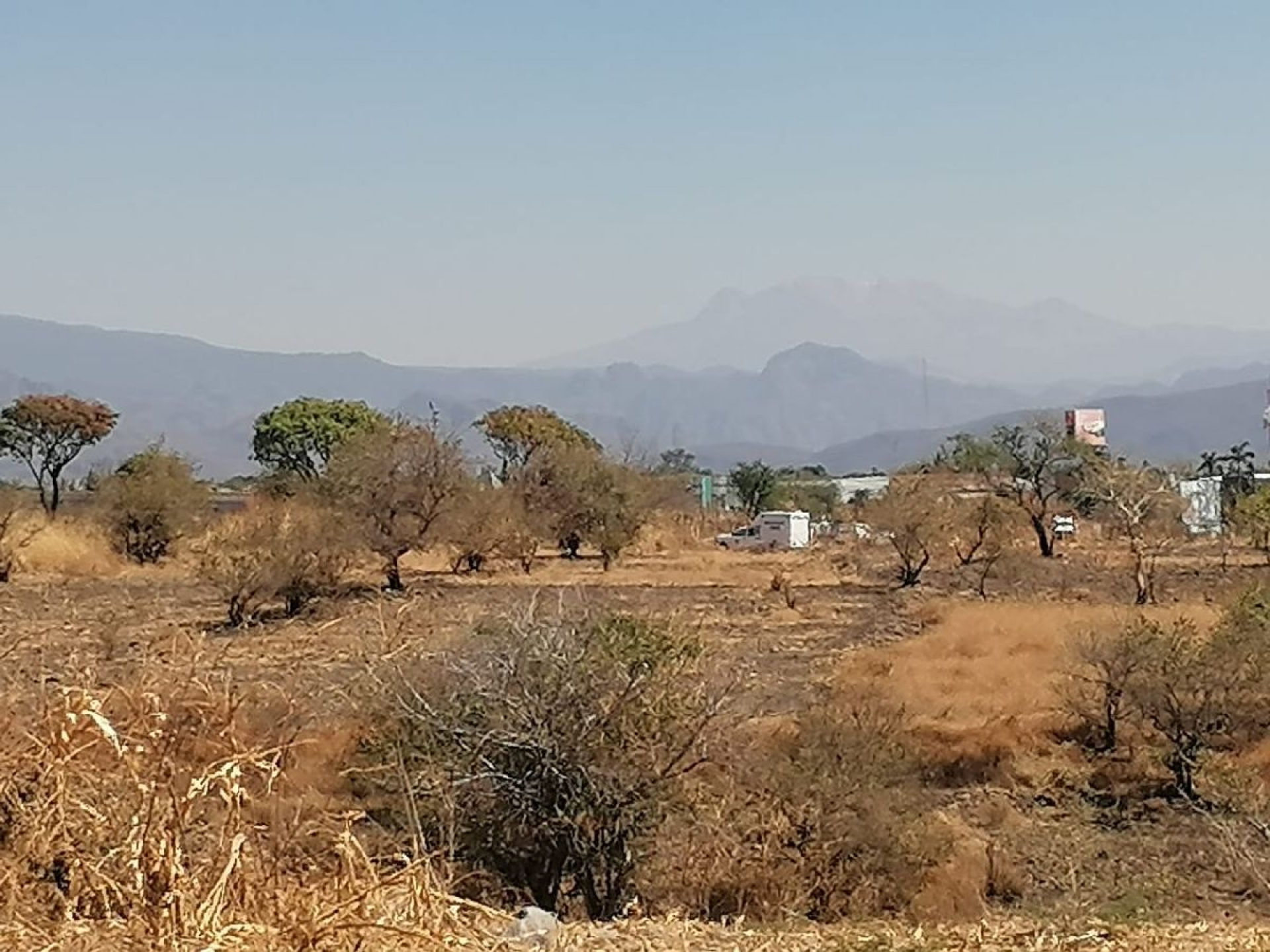 Hallan muerto a joven con un disparo en la cabeza