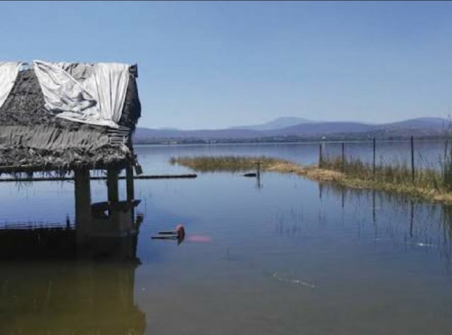 Alertan por incremento en el nivel de la laguna de Coatetelco