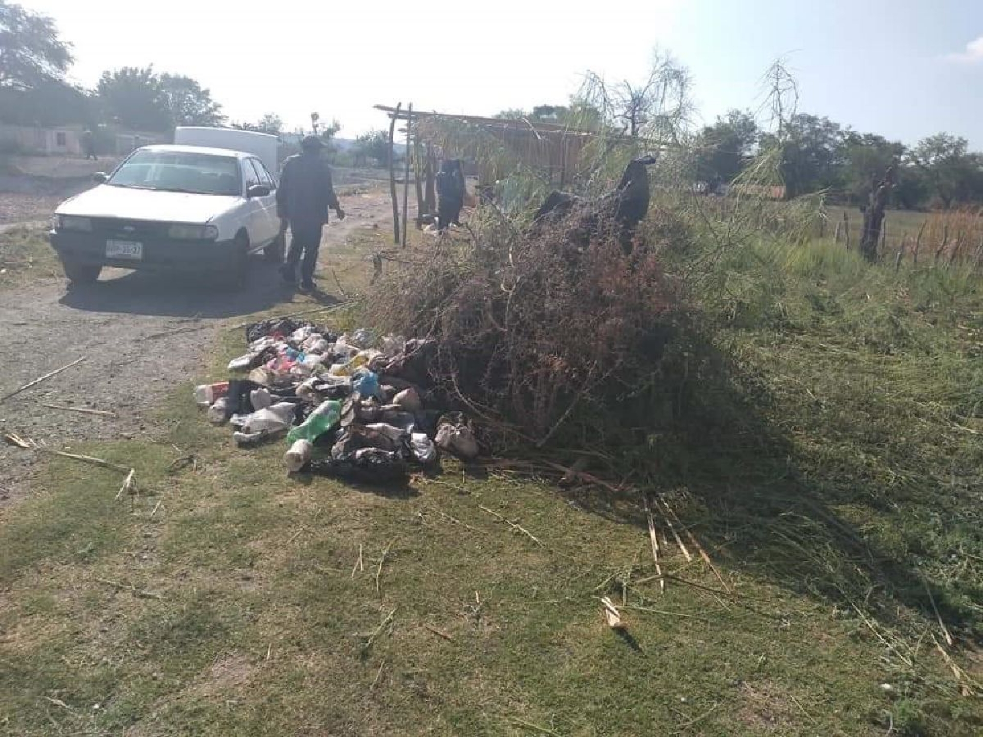Pescadores iniciaron limpieza de las lagunas de El Rodeo y Coatetelco