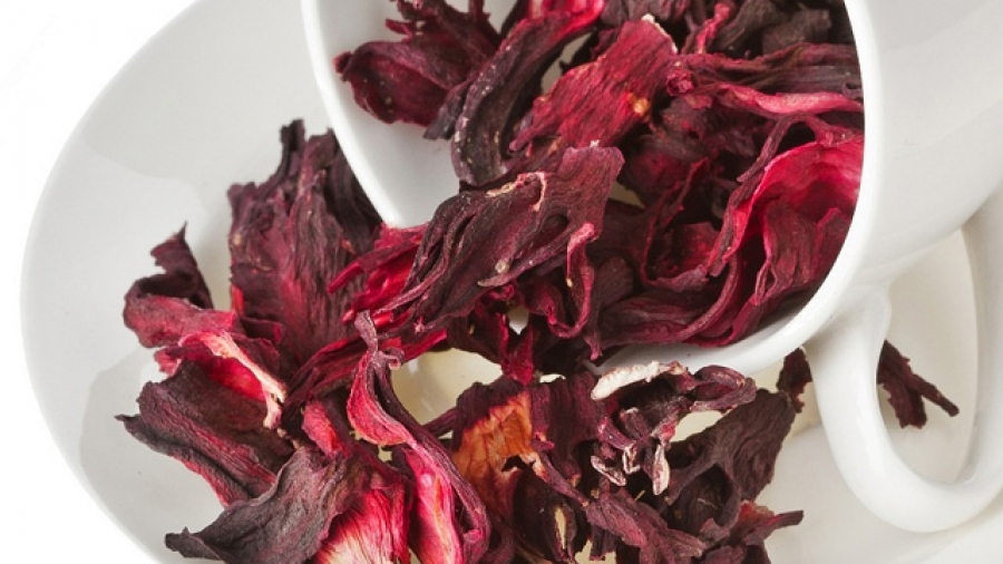 Mexicana desarrolla medicina de flor de jamaica que combate la hipertensión