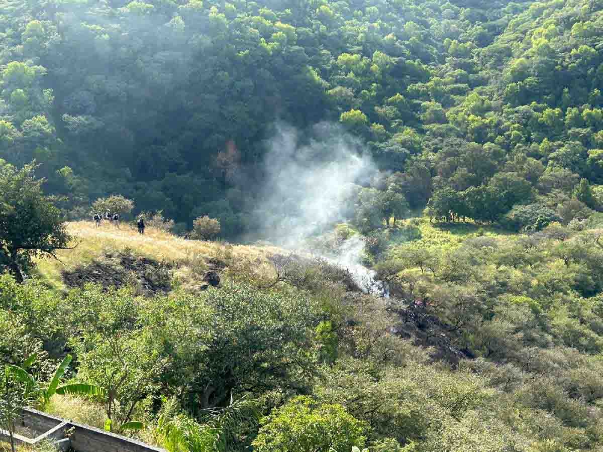 Confirman cuatro muertos en desplome de avioneta
