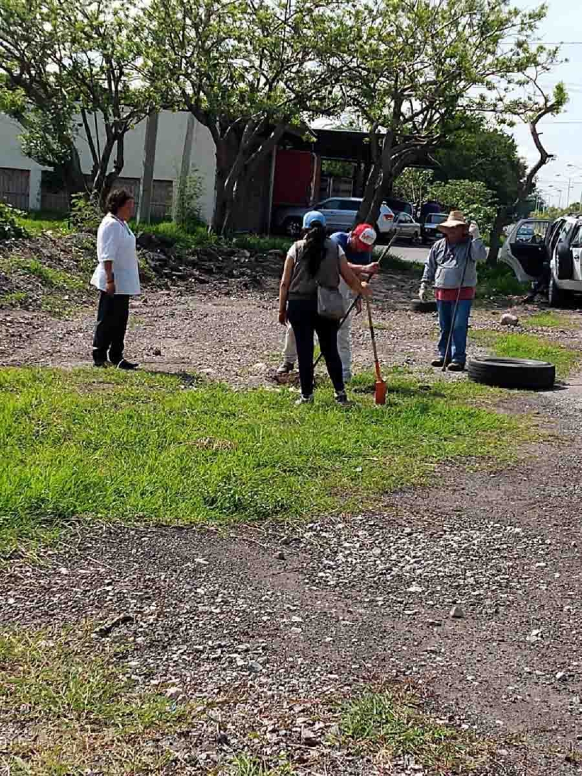 Invitan a participar en jornada de limpieza para reforestar árboles