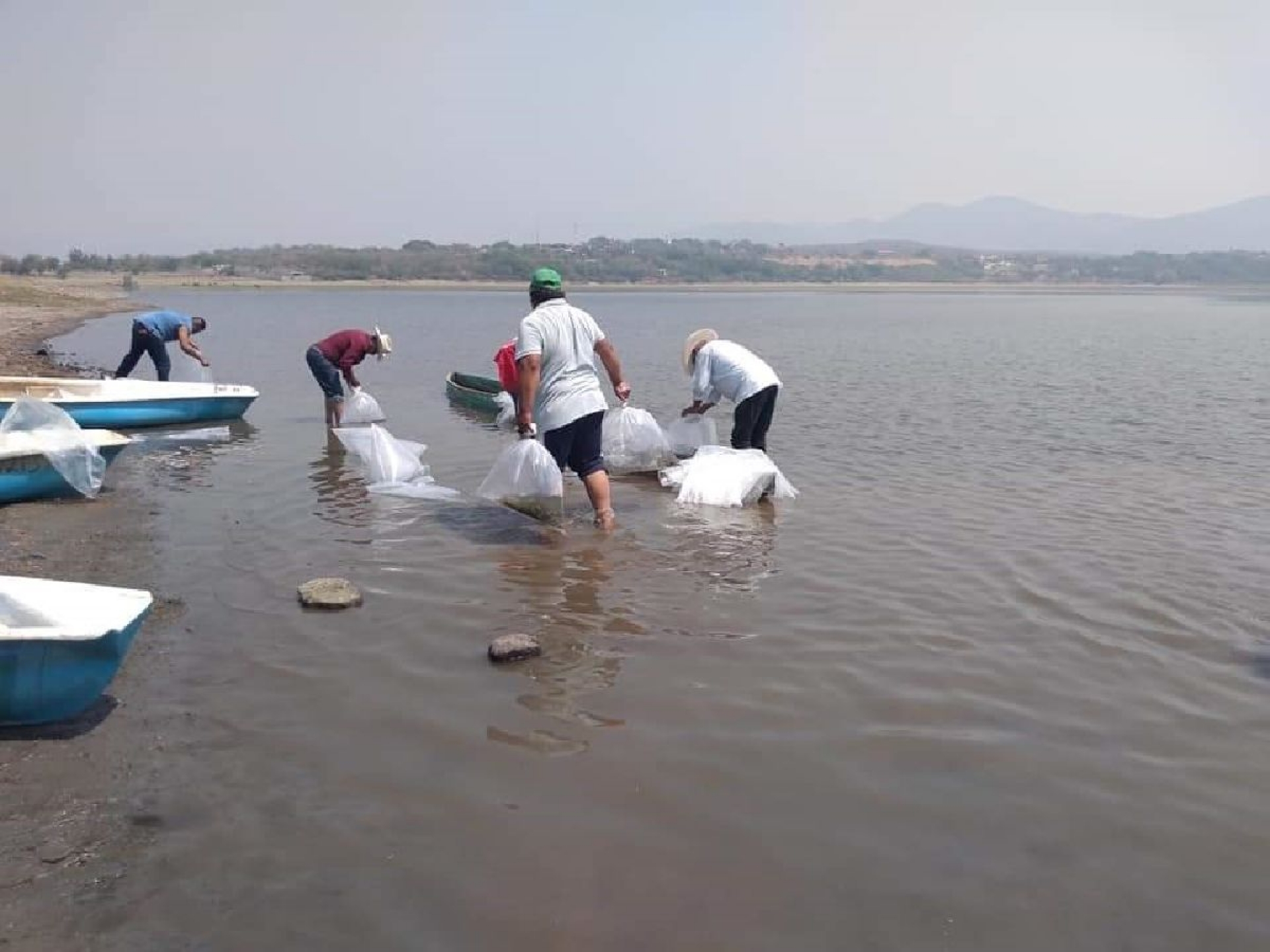 Pescadores de Coatetelco registran pérdidas de hasta el 50 %