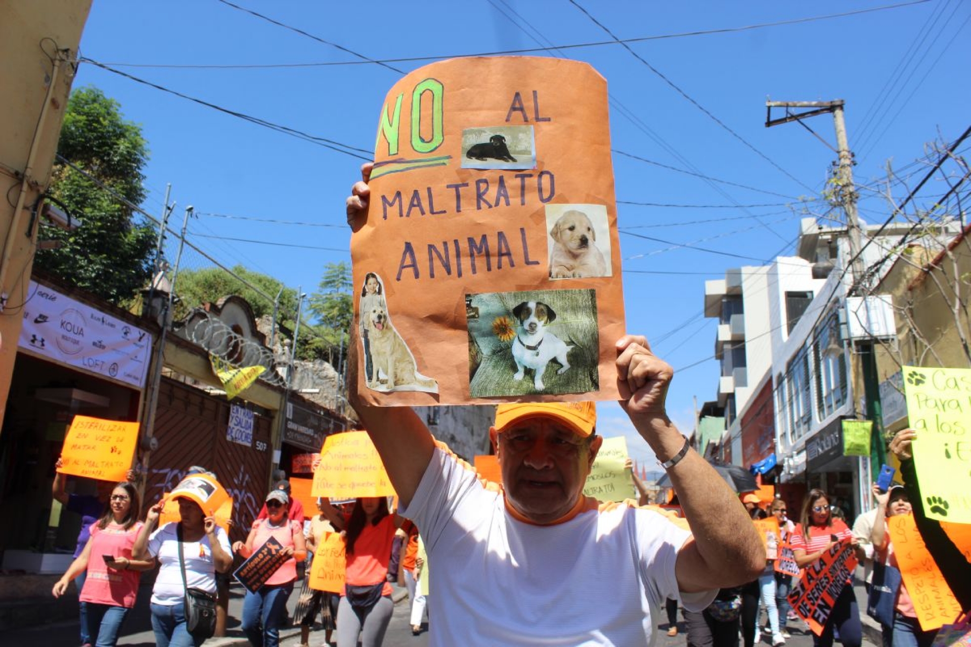 Exigen leyes para proteger a animales
