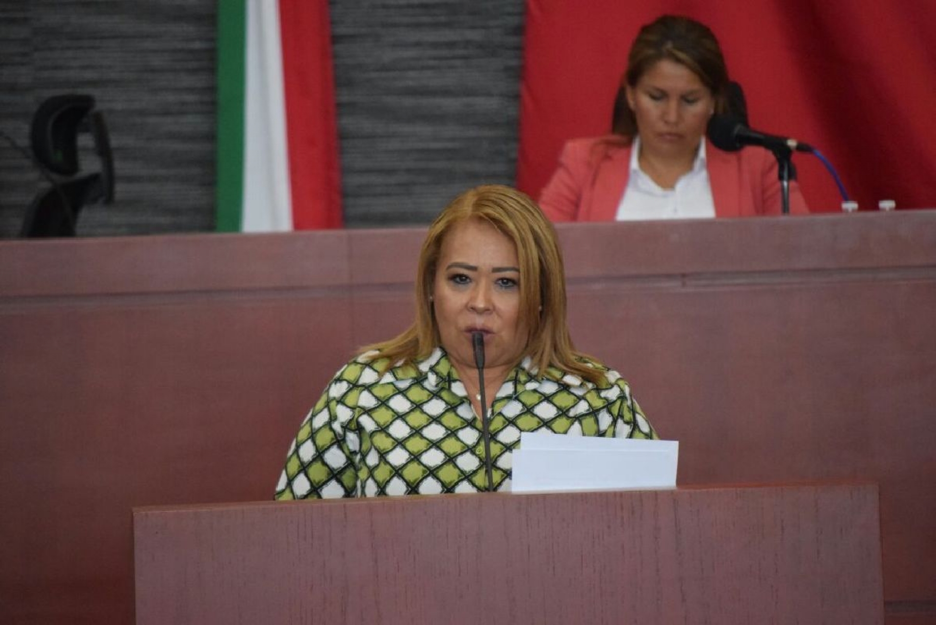 Beatriz Vicera renunció a la Mesa Directiva del Congreso