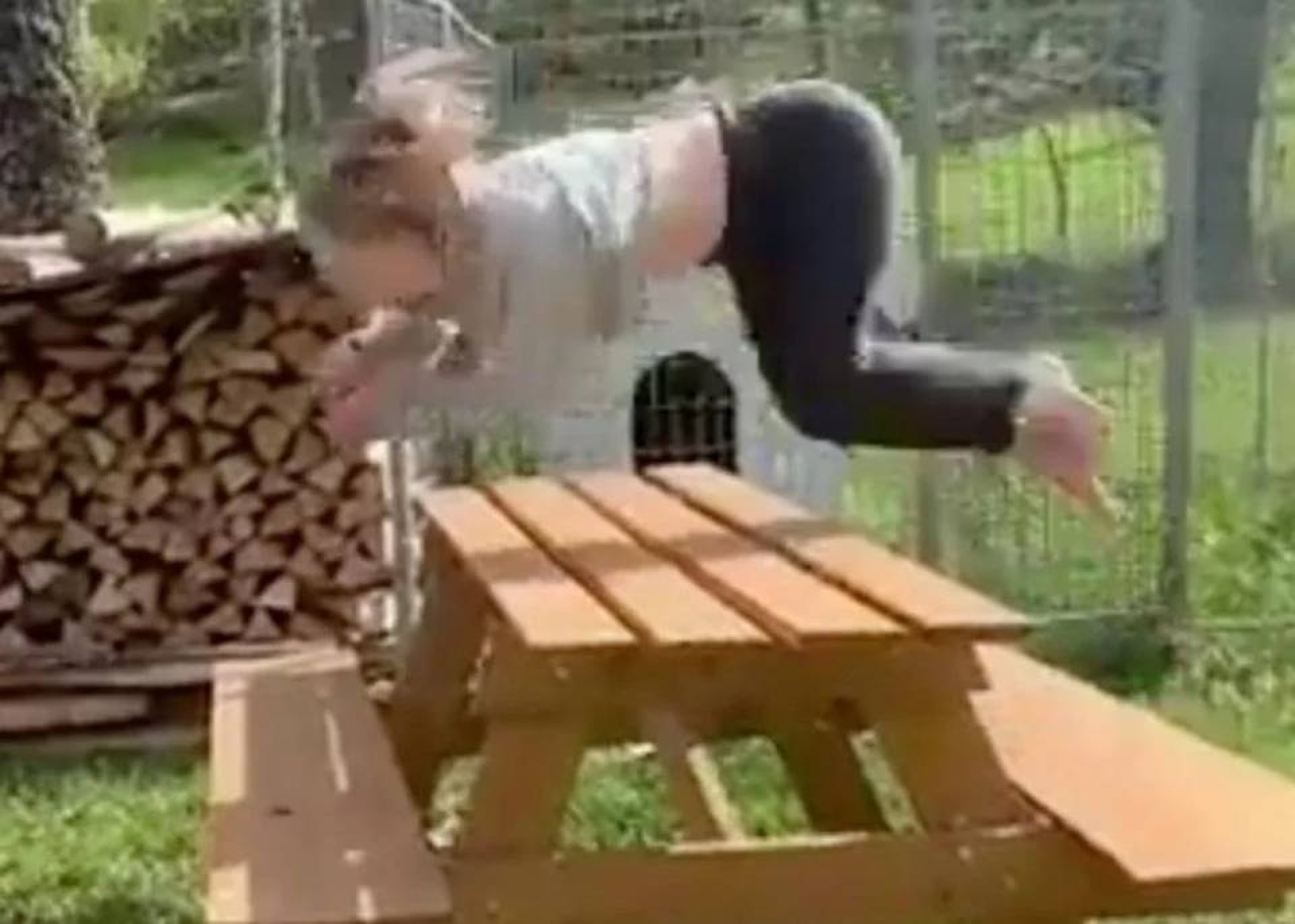VIDEO: Conoce a la mujer que corre como caballo