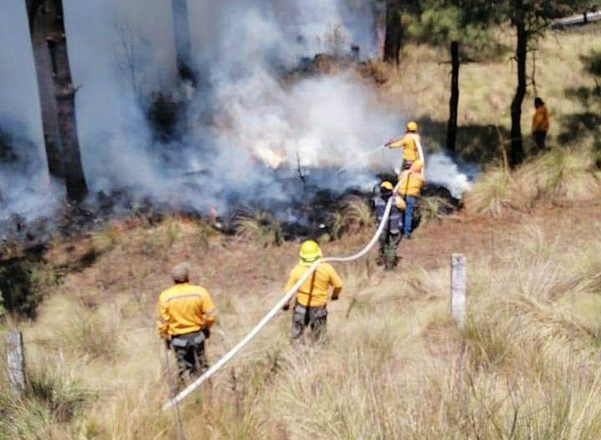 Combaten brigadistas de CDMX incendio forestal en límites con Morelos