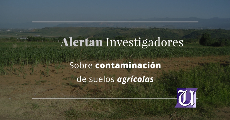 Alertan investigadores de la UAEM sobre contaminación de suelos agrícolas