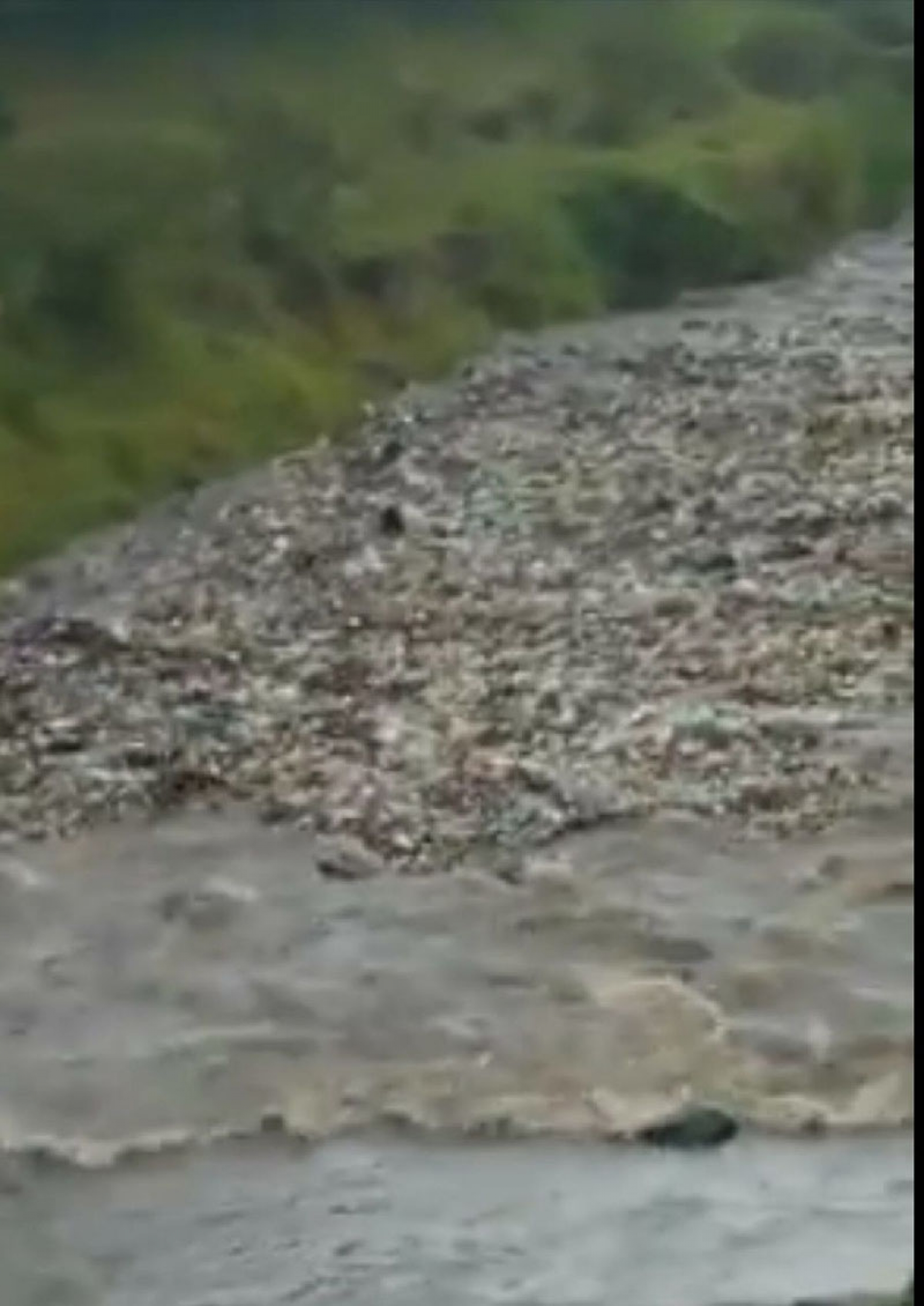 Latente, el riesgo de desbordamiento del río Cuautla por escombros