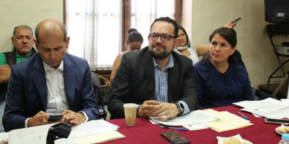 Sesiona la Comisión de Participación Ciudadana y Reforma Política