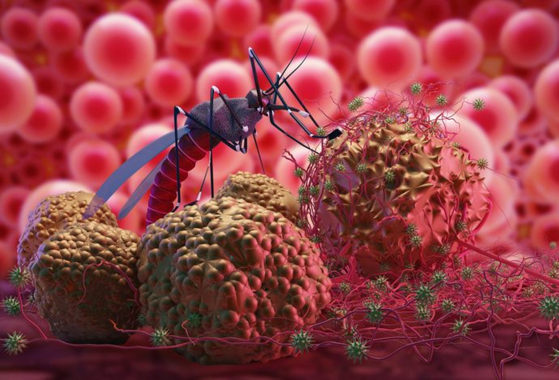México registra aumento del 388.7% en casos de dengue