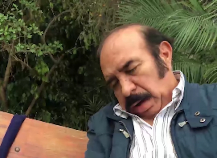¿No va tan bien tu día? Quizá ver este remix de 'Des-pa-cito' con ronquidos ayude