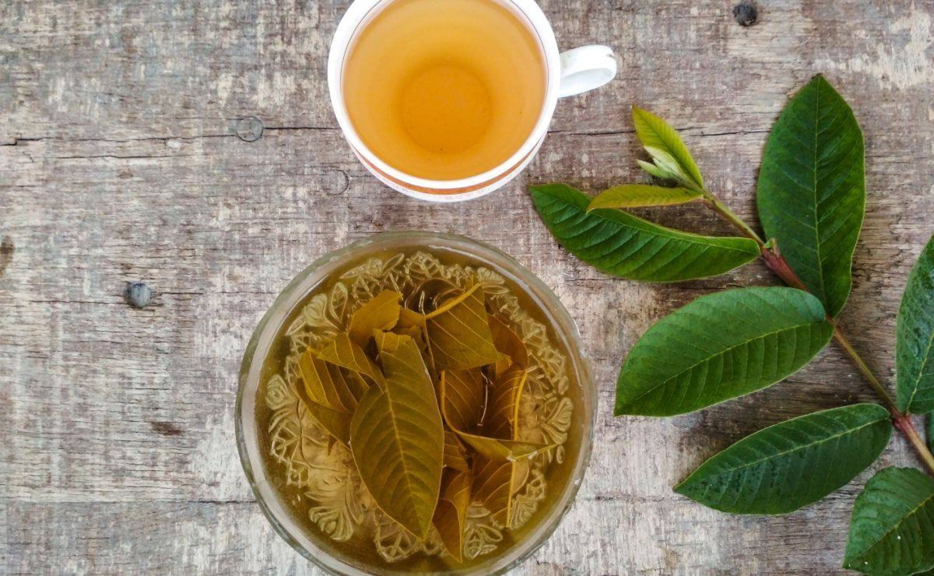 Beneficios del té de hojas de guayaba para adelgazar y depurar