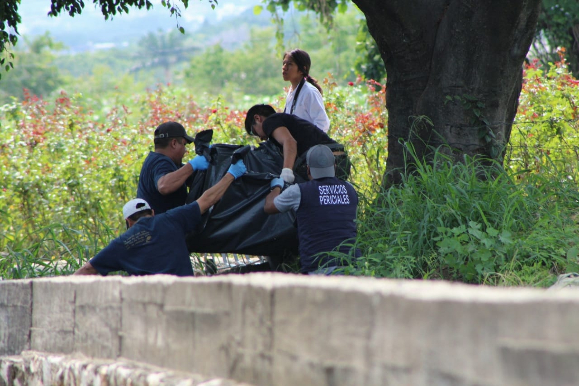 En cuatro municipios, la mitad de los asesinatos ocurridos durante junio