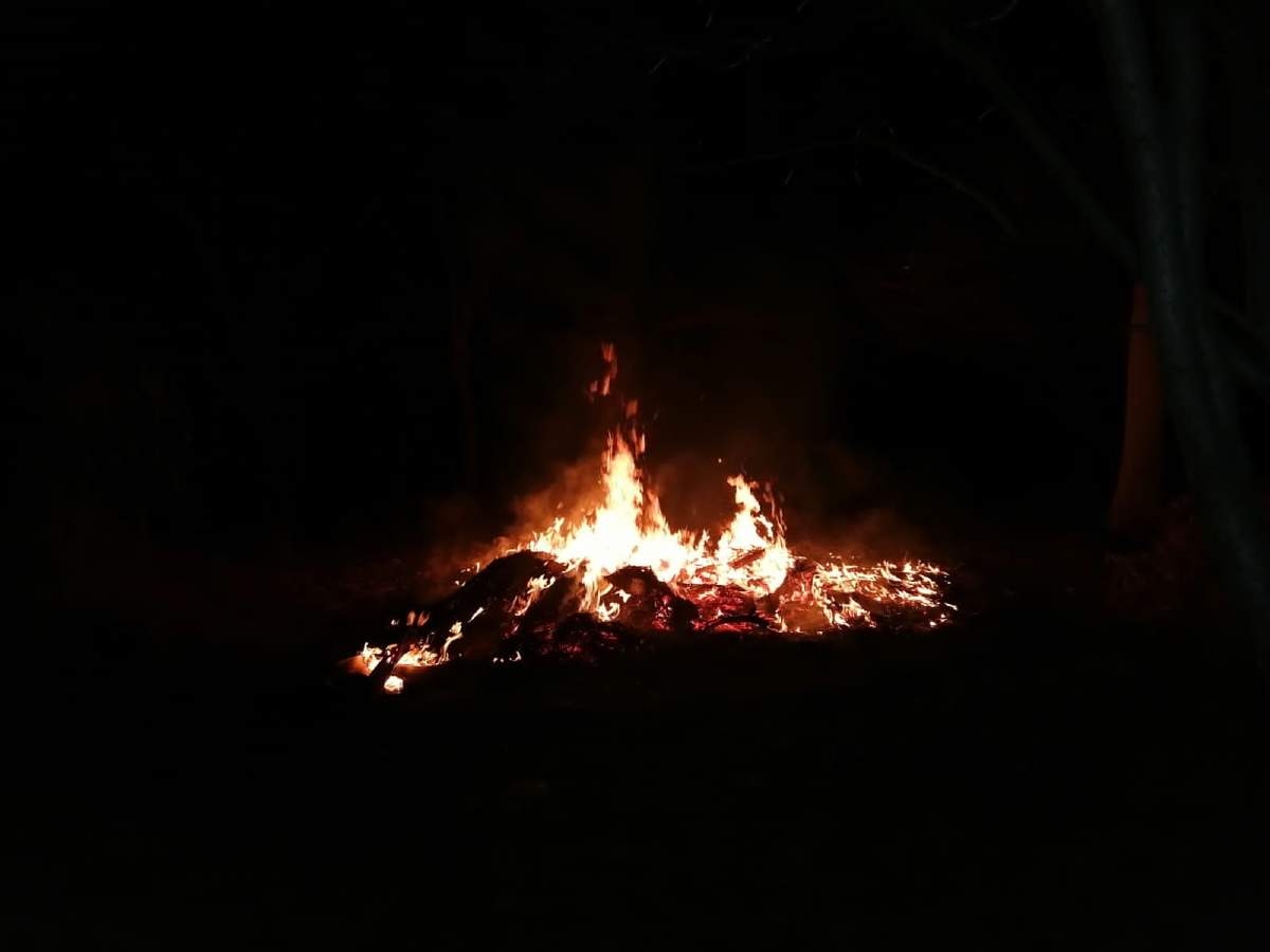 Alertan contra el riesgo de incendios forestales