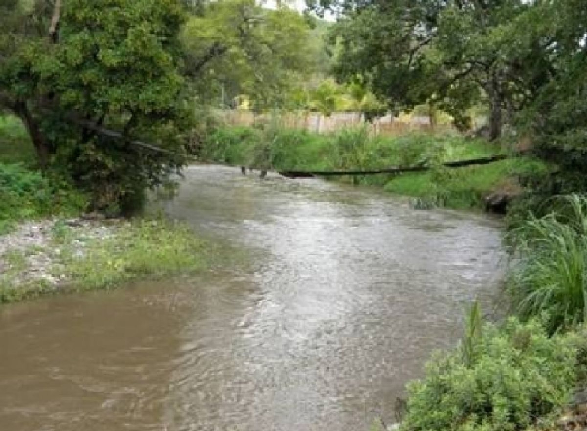 Por falta de maquinaria, aún no se realiza el desazolve del río Chalma: PC Tetecala