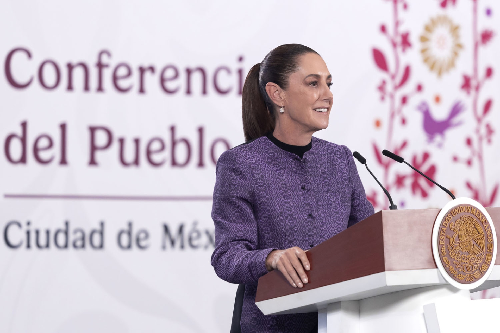 Sheinbaum pide dictamen técnico por posible hundimiento en Tren Maya