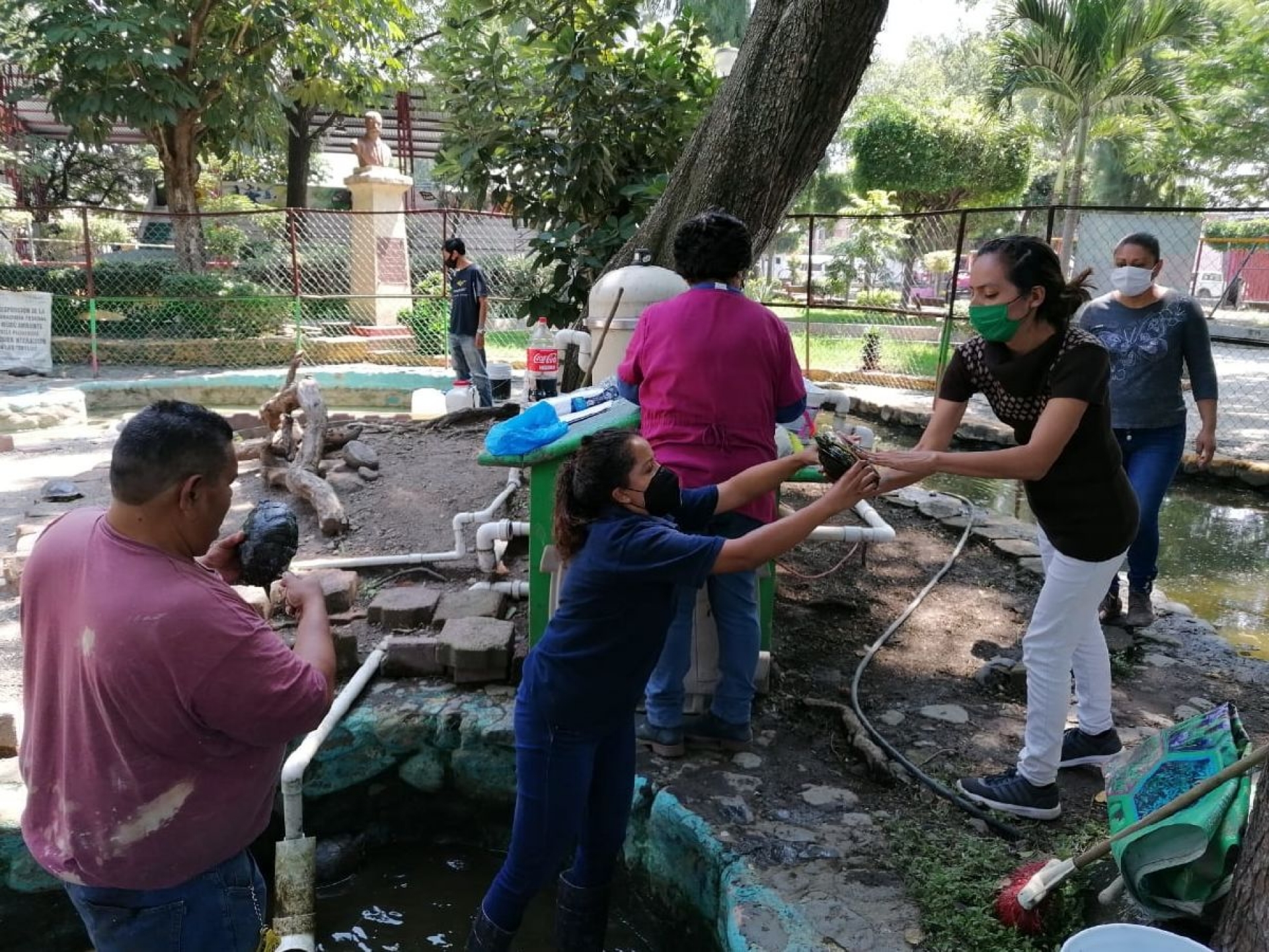En marcha, rehabilitación del tortugario de la colonia Zapata de Cuautla