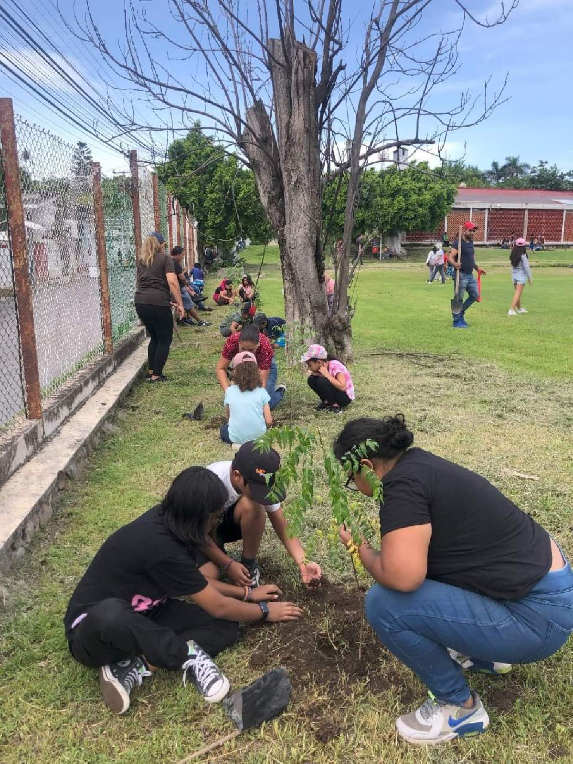 Continúan acciones de reforestación en Puente de Ixtla