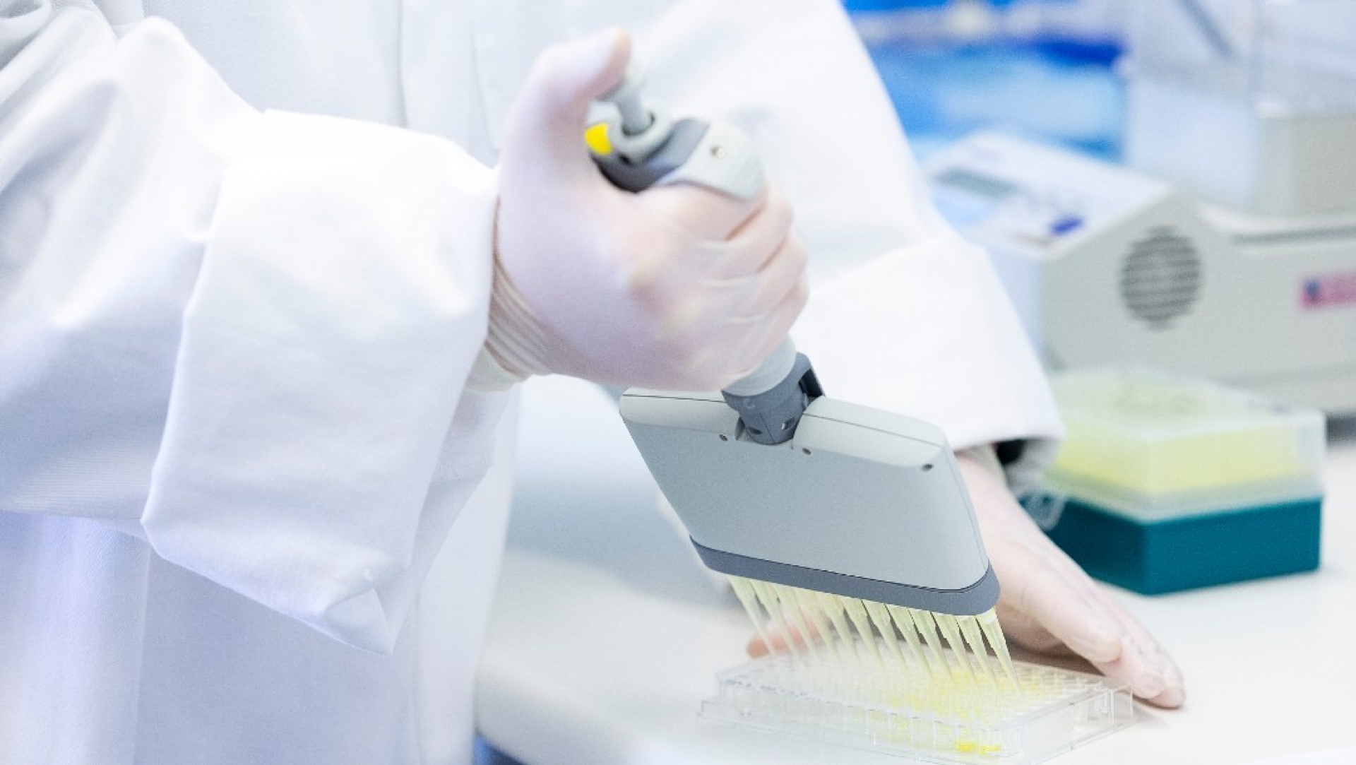 Bacteria escapa de laboratorio en China; reportan más de tres mil enfermos de brucelosis
