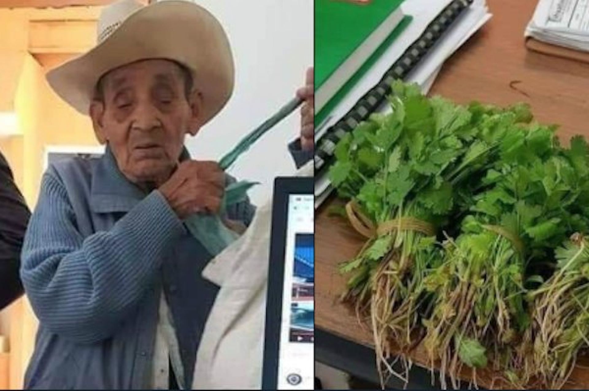 ¡Ternura! Abuelito paga acta de nacimiento con tres manojos de cilantro