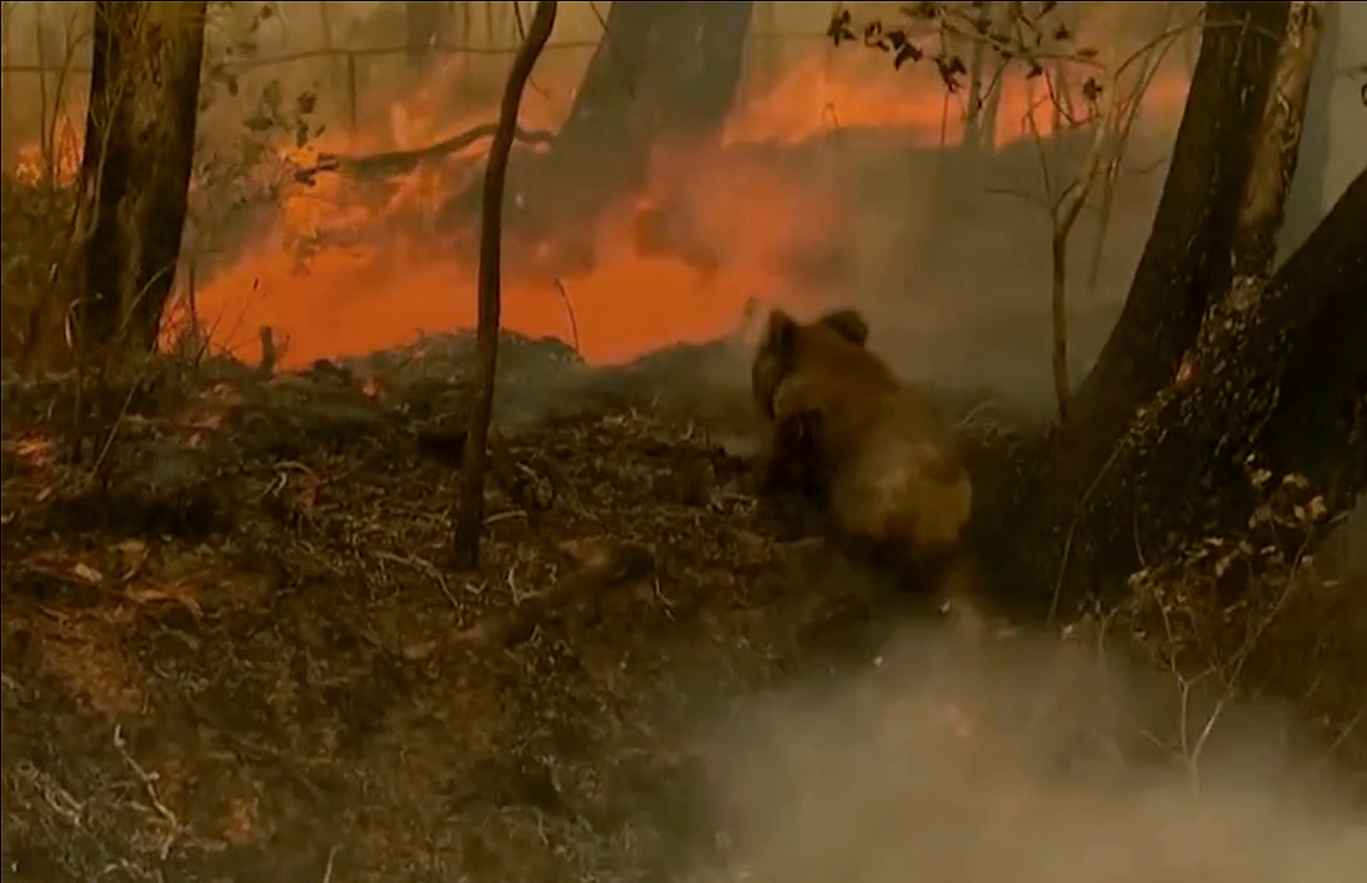 Más incendios 