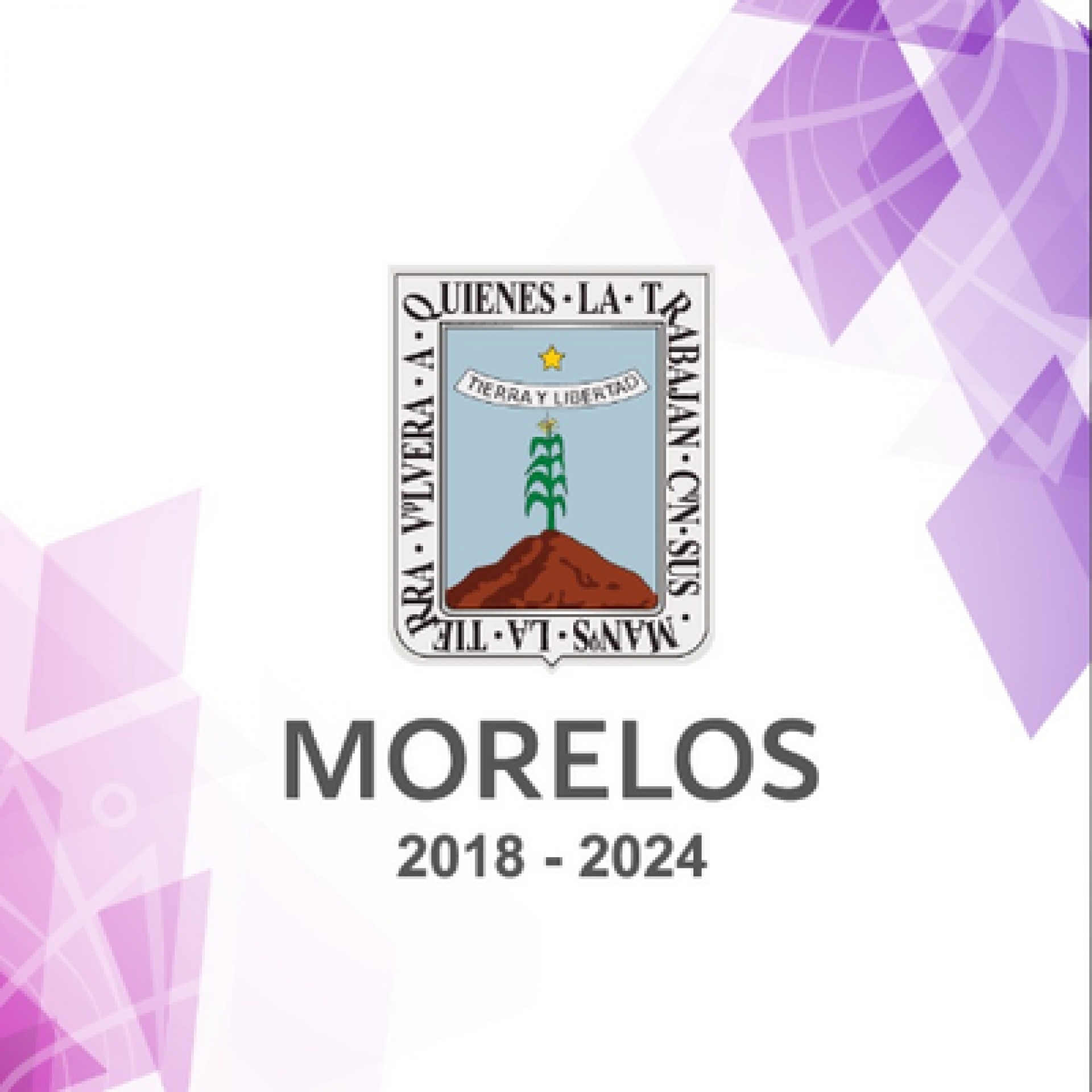 Falsas, versiones de un supuesto toque de queda en la región sur: Gobierno de Morelos
