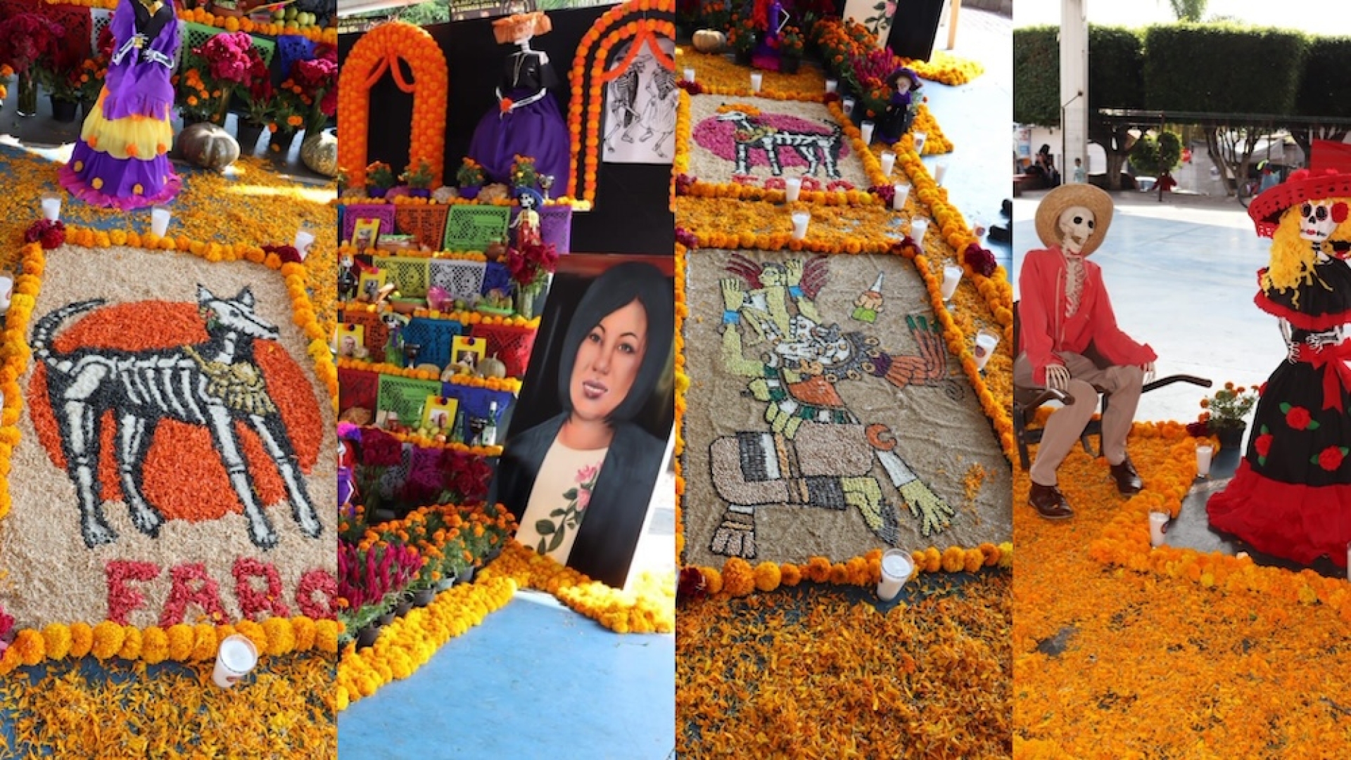 FOTOS: Éxito Rotundo en 'Miquixtli Temixco 2023': Celebrando el Día de Muertos con Pasión y Tradición