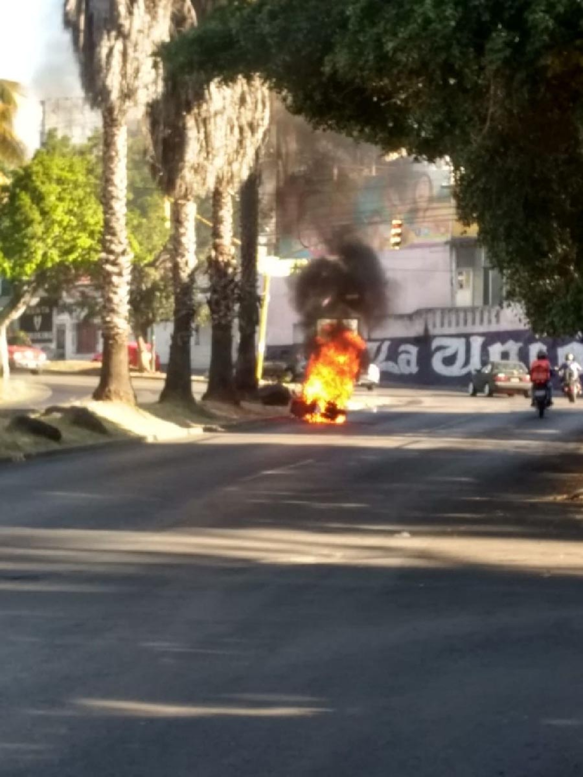 Se queman una moto y una palmera en Lomas de la Selva