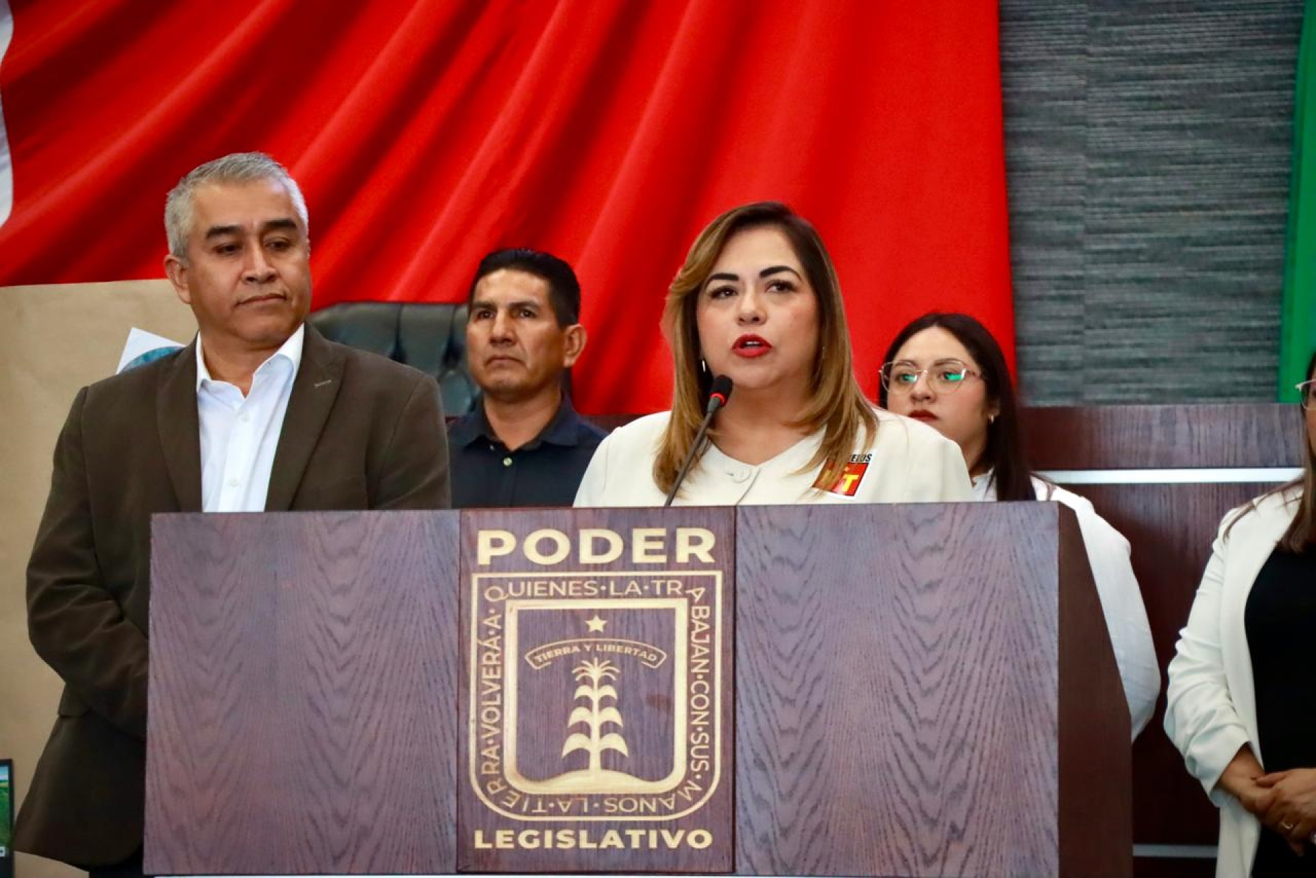 Exhorta diputadaTania Valentina Rodríguez a restaurar y proteger las áreas forestales afectadas por incendios en Tlalnepantla