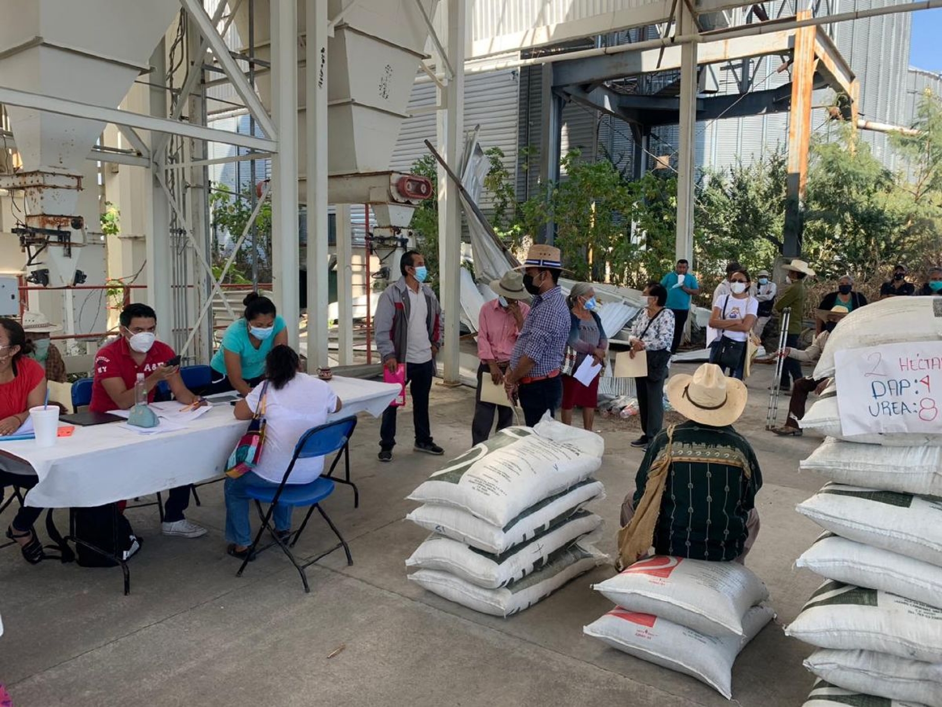 Registra avance del 60 por ciento programa fertilizantes para el bienestar en Morelos