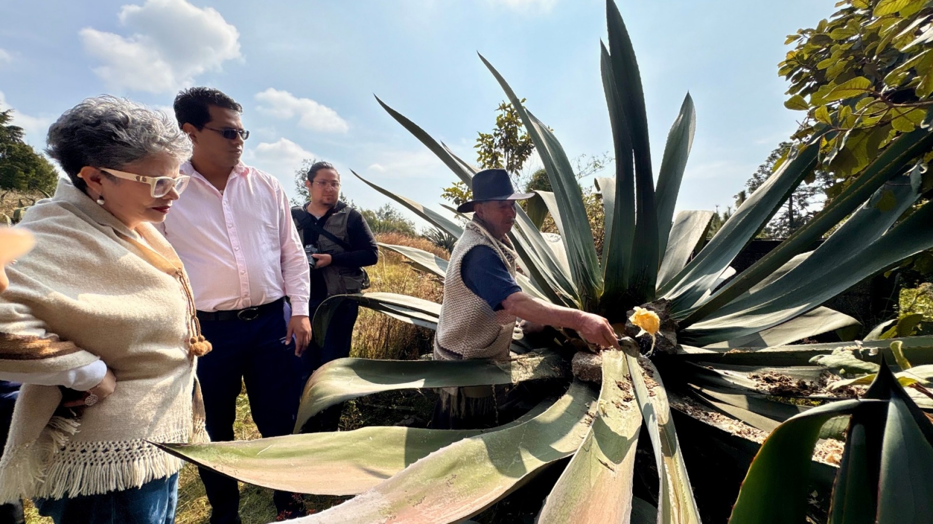 Promueve Gobierno de Morelos Indicación Geográfica para proteger el pulque de Huitzilac
