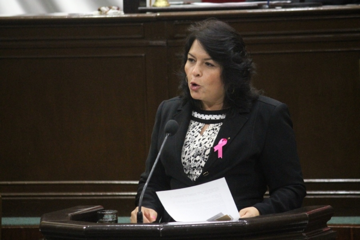 El gobierno, rebasado en el combate a la violencia contra la mujer: Popoca Sotelo