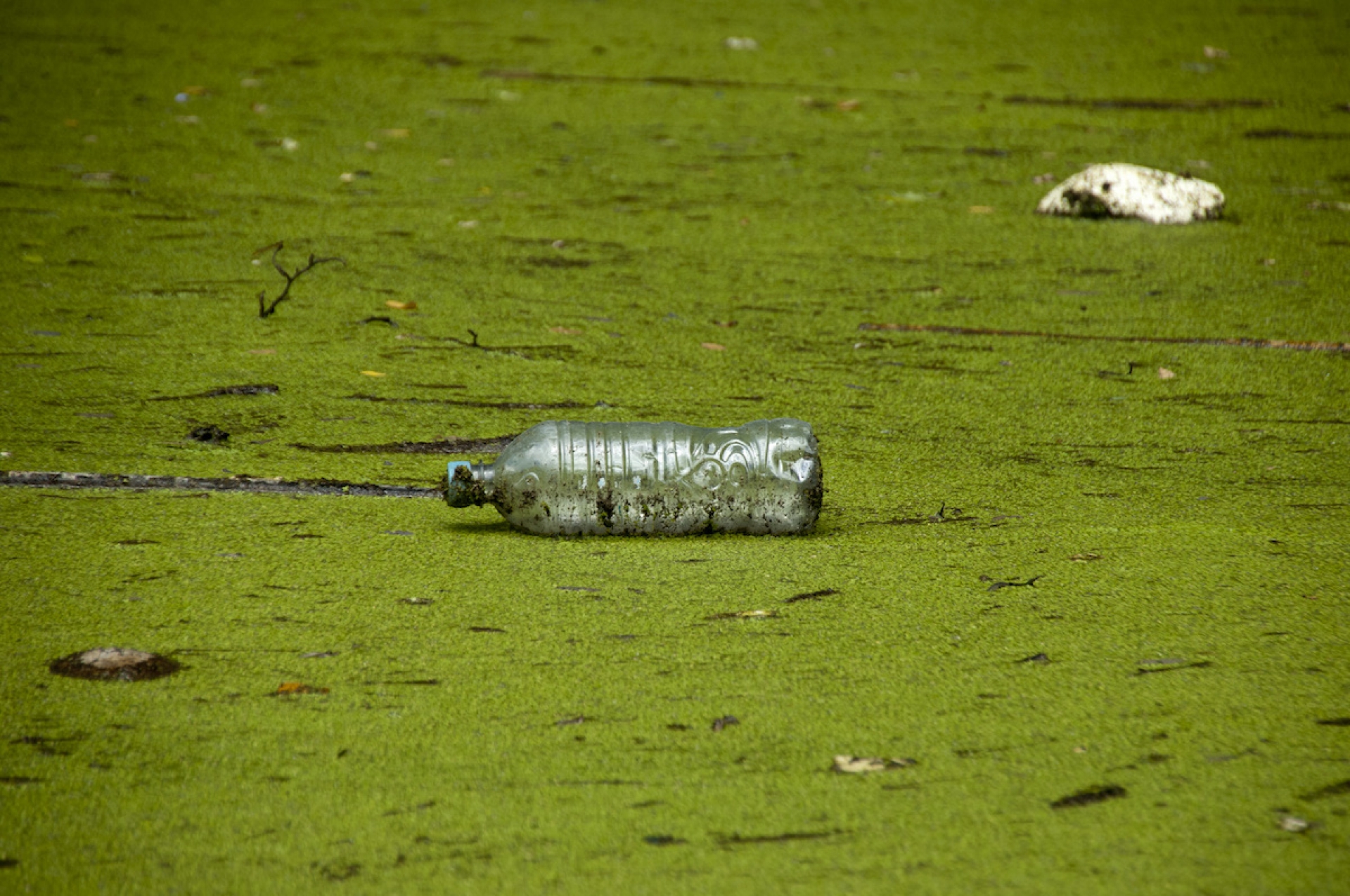 EL TURISMO DEL PLÁSTICO