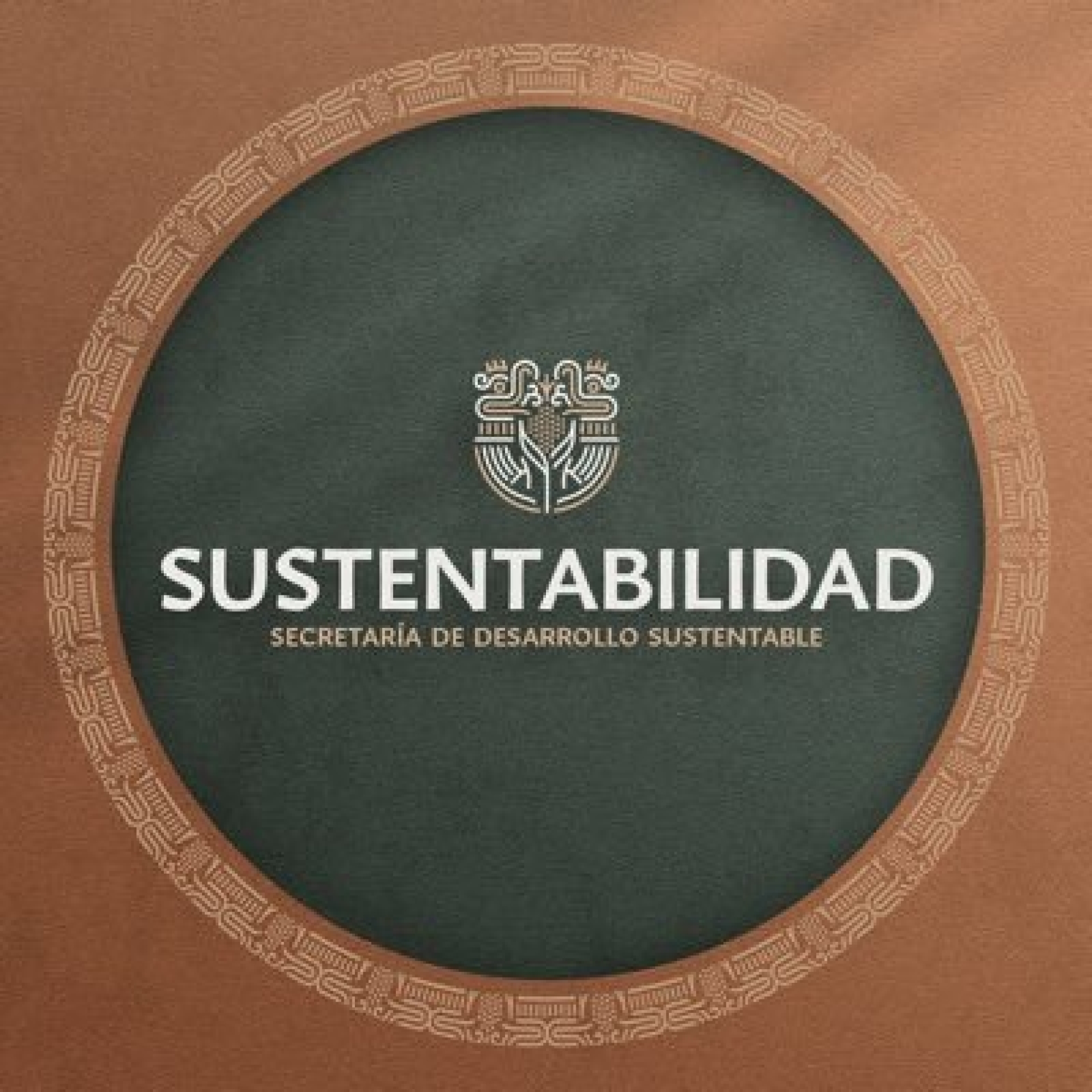 Atienden en Morelos dos incendios forestales, en Tepoztlán y Tres Marías