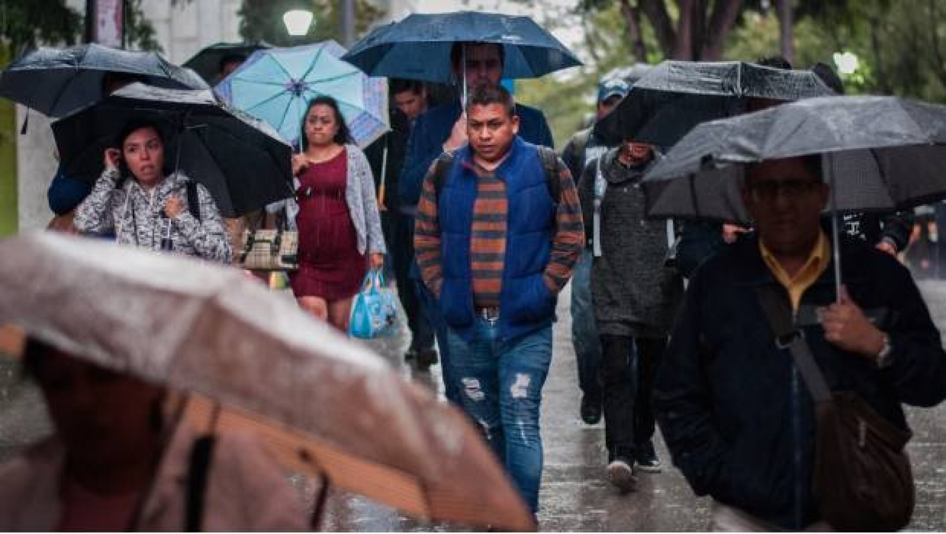 App 911 informará con 45 minutos de anticipación si lloverá en la CDMX