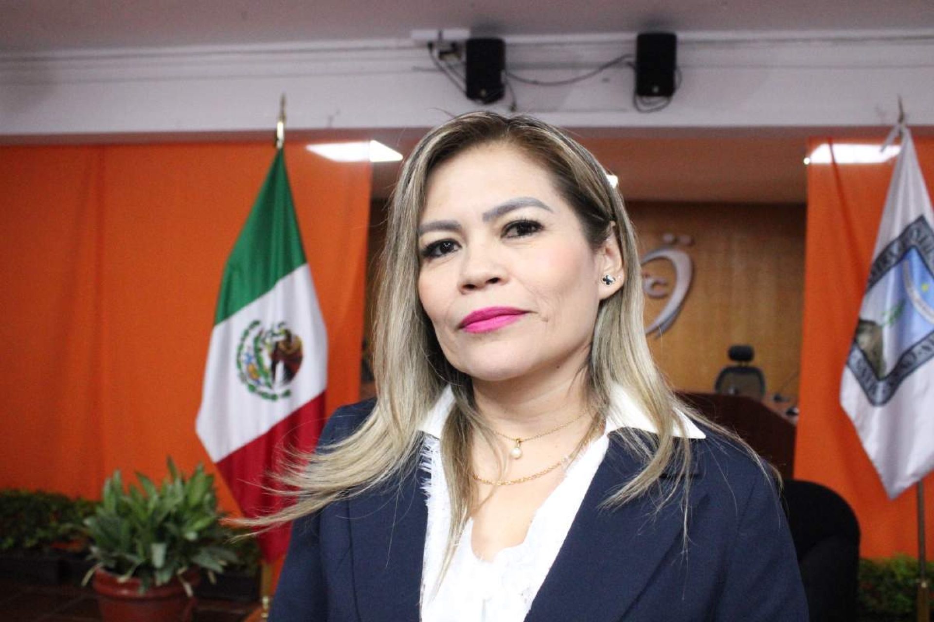 En 2025, cuatro quejas por violencia: consejera