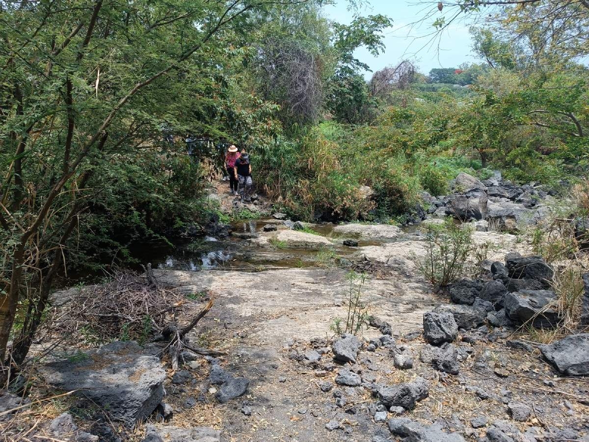 Identifican riesgo en manantiales que abastecen la zona sur