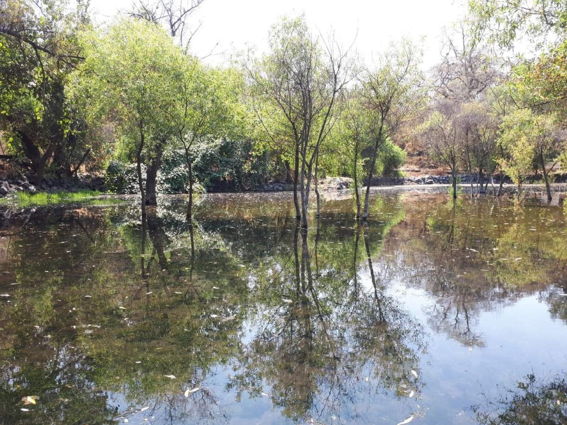 El Texcal: educación ambiental y turismo sostenible