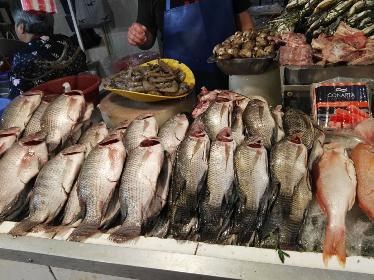Se incrementó hasta en un 25% el precio de pescados y mariscos