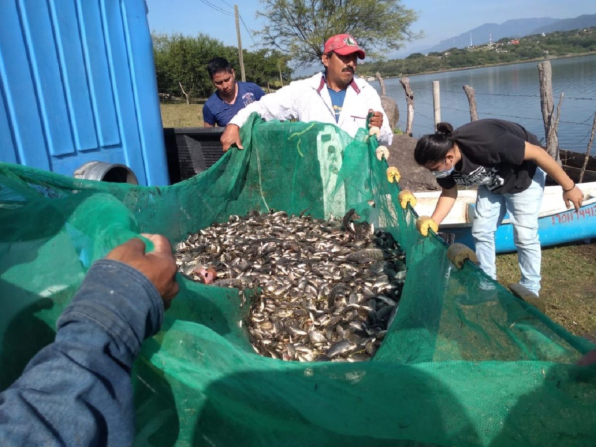 Pescadores de Coatetelco y El Rodeo cumplen meta anual de siembra