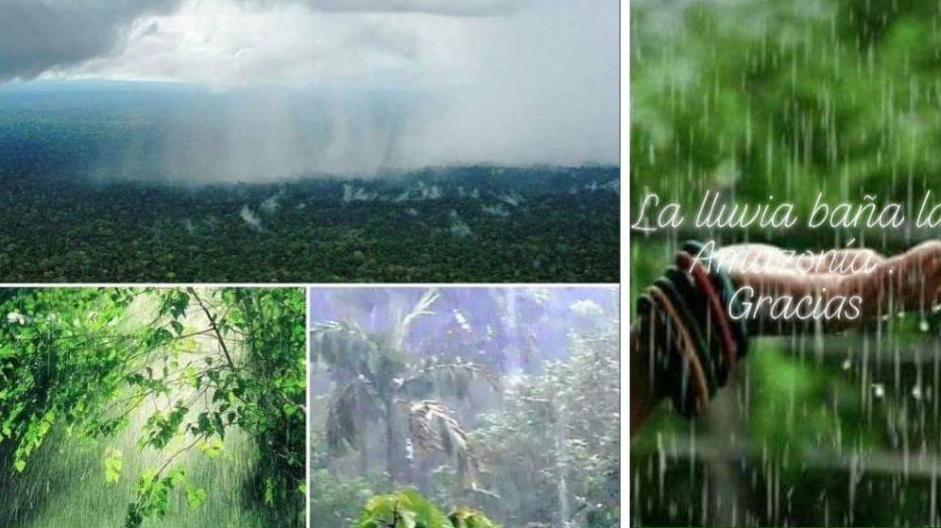 ¿Llueve en el Amazonas? De un fuerte deseo a una noticia falsa sobre los incendios