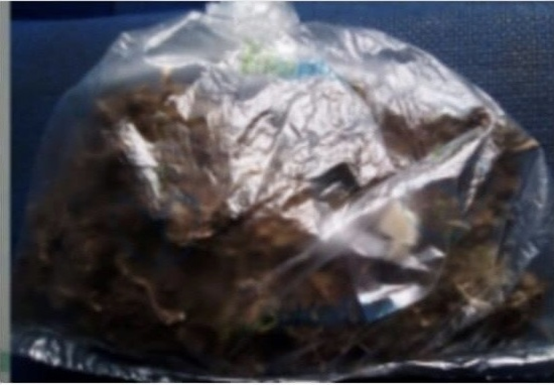 Atrapan a un joven con droga en Ocuituco