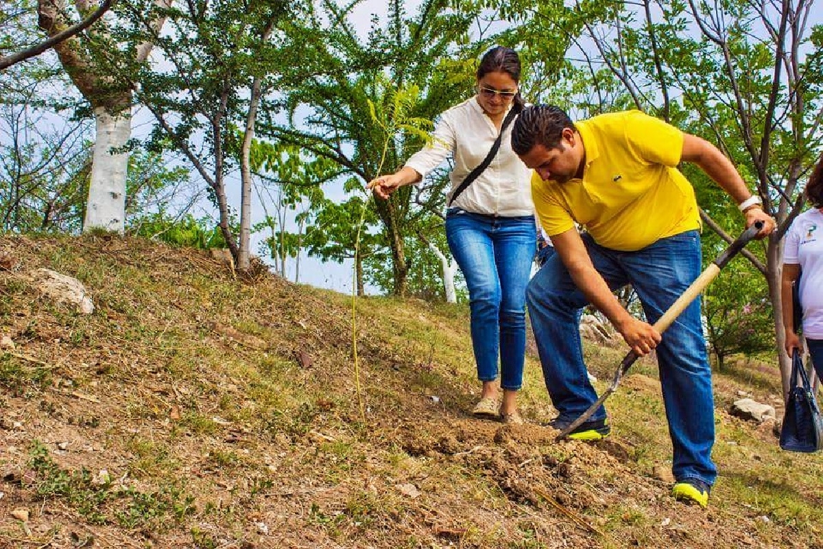 Reforestan “La Laguna” y el camino a la comunidad de Ahuaxtla en Axochiapan